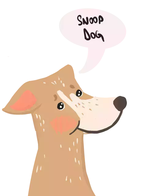 Whippet 