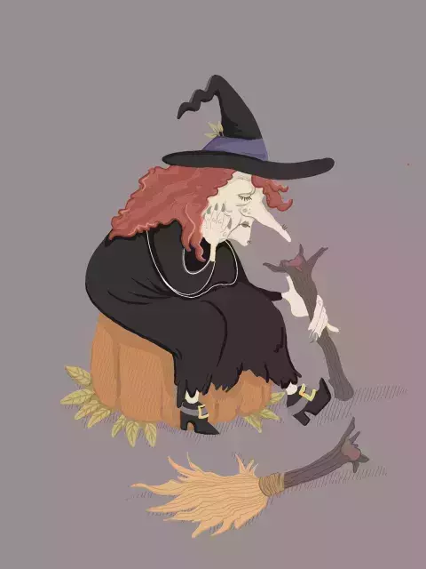 Witch on a broom